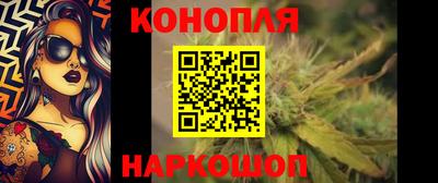 прущие грибы Надым