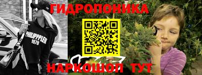 прущие грибы Надым