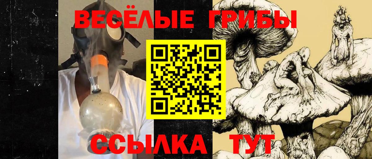 Псилоцибиновые грибы MAGIC MUSHROOMS  Галлюциногенные грибы прущие грибы  Вход с VPN  Родники 